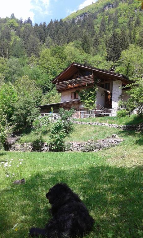 B&B Villa Ca'Praja Daone Εξωτερικό φωτογραφία